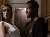 The Cookie Jar Pure Taboo
